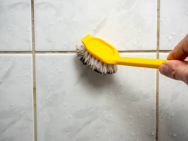 Best Attic Mold Removal  in Hawarden, IA